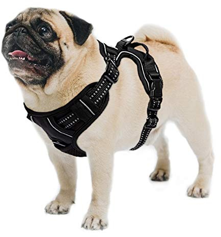 Meisax Hundegeschirr Kleine Hunde Verstellbar Brustgeschirr Weich Atmungsaktiv No Pull Sicherheitsgeschirr Welpen Hundegeschirr（S）
