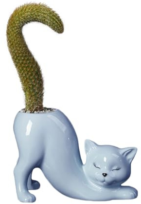 Yizzwtc Macetas de Cerámica, Maceteros Decorativos Interior Pequeños, Maceta en Forma de Gato Bonita Maceta para Suculentas para Casa, Suculentas, Flores, Cactus, Decoración de Hogar (Azul)