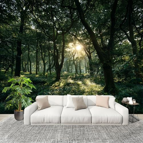 Fotomurales 250x175 cm Naturaleza Bosque Paisaje. Decoración Muro Murales Papel Pintado tejido no tejido Verde Moderna Panoramico Fotográfico Adhesivos Impermeable Papel Tapiz