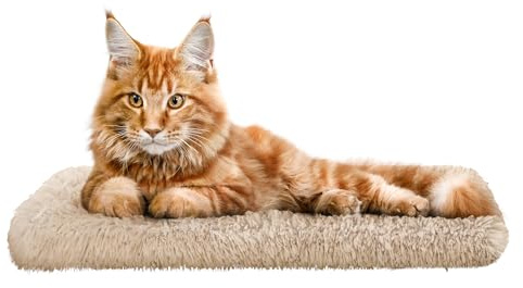 Katzen Fensterliege Fensterbank rutschfest - Katzenbett Fensterbank 60x25 cm - Weich & Kuschelig - Fensterliege für Katzen Selbstheizende Katzendecke - Waschbarer Bezug (Beige)