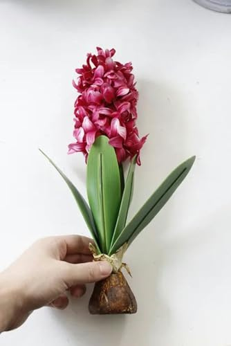 YOLNEY 29 cm Hyazinthe mit Zwiebeln, künstliche Blume, Schmetterling, Orchidee, Blätter, Seidenblume, Hochzeit, Garten, Dekoration, Heimtisch, Zubehör, Pflanze-Rose Red