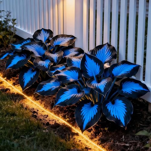 Hosta bulbi,Hosta pianta vera,Piante erbacee perenni,Facile da curare,Decorazione del giardino, bulbi belli e sani,Facile da curare(non fiori artificiali)-4 Bulbi-E