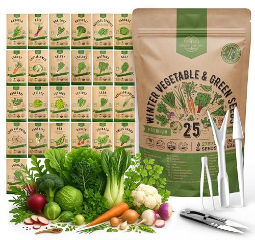 Organo Republic 25 Winter Vegetable & Green Seeds Variety Pack for Outdoors & Indoor Home Gardening 27670+ Non-GMO Heirloom Seeds: Broccoli Beet Carrot Collard Lettuce Radish Spinach Pea Kohlrabi