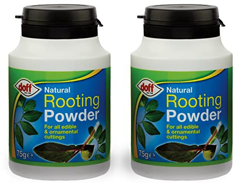 Doff Natural Rooting Powder 75g - Hormone Rooting Powder Organic | Promotes Strong and Healthy Roots | For All Edible Plants and Ornamental Cuttings (2)