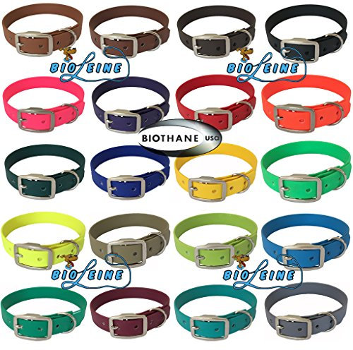 bio-leine Biothane Hundehalsband mit Dornschnalle – Halsband für kleine und große Hunde I schmutz- und wasserabweisend I Grau - Halsumfang 45-55 cm