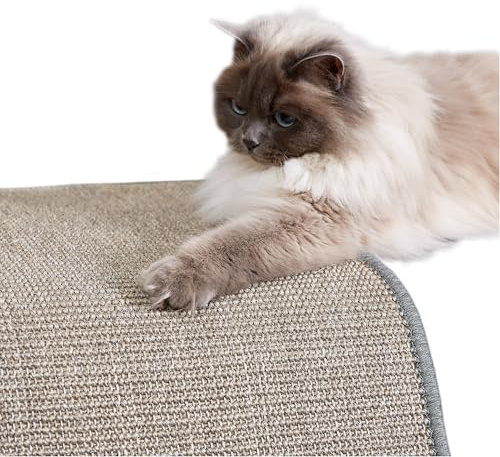 Natürliche Katzenkratzmatte Sisal für Katzen - Grau 40 x 60cm (Rechteckig) | Rutschfeste Kratzmatte langlebiger Kratzteppich robust für Boden Kratzfläche für Möbelschutz Kratzunterlage
