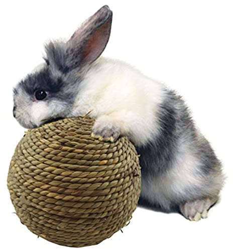 PULABO Kleines Haustier Kauspielzeug-Naturrasen Ball Zahnreinigung Schleifen Spielzeug Für Kaninchen Katzen Kleine Nagetiere Überlegene Qualität langlebig