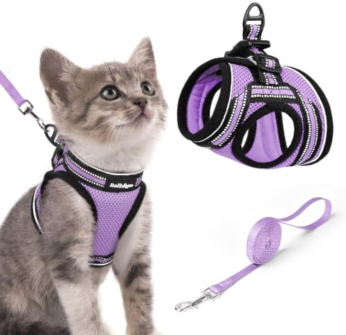 rabbitgoo Pettorina Gatto Antifuga, Guinzaglio Gatti Regolabile, Imbracatura Ultra-Leggero Morbido Riflettente per Cucciolo, Gattini e Gatto Piccolo, Pettorina per Passeggio e Corsa, S, Viola Chiaro