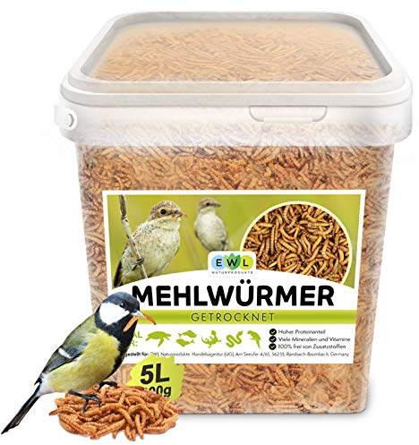 Mehlwürmer getrocknet 5 ltr. Insektensnack für Vögel, Fische, Schildkröten, Nager und Reptilien EWL Naturprodukte (800g)