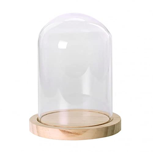 ADP Cloche en Verre avec Socle en Bois Naturel 29429 - ∅10x20cm - Cloche en Verre Décorative Transparente avec Plateau en Bois, Décorations de Table, Antiquités, Compositions Florales...