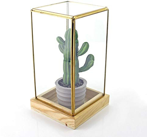 OQHAIR Terrarium Vintage Coffee Table Wedding Geometric Showcase Succulent Moss Ferns Crystal Ball (Color : Black Size : 10x10x20cm) (Brass 10x10x20cm)