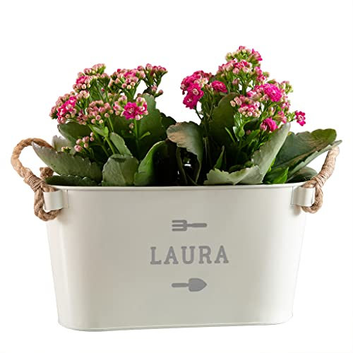 Personalised Name Planter - Engraved Metal Planter - Unique Garden Gifts for Men Women - Christmas Anniversary Birthday Gift for Plant Lover (Small Planter)