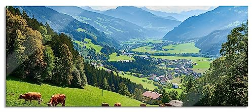 Pixxprint Glasbild Panorama, Wandbild aus Echtglas, Kuhherde auf Zillertaler Almwiese, 120x50 cm, inkl. Aufhängung und Abstandshalter