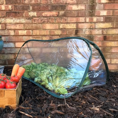 GardenSkill Mini Pflanztunnel Gewächshaus für Hochbeet und Garten 150x60cm | Pop-Up Folientunnel Pflanzenschutzzelt Tomatenhaus Beetabdeckung für Obst, Salat, Gemüse - 2 Stück