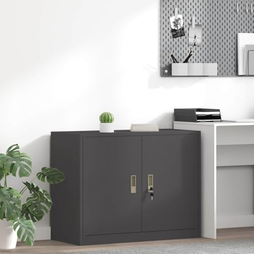 INLIFE Armoire de Rangement Noir 90 x 40 x 70 cm Acier Laminé à Froid