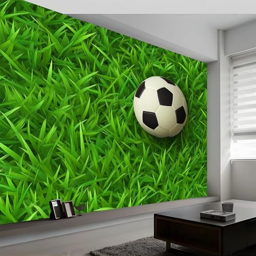 Papel Pintado Murales 500 x 280 cm Campo De Fútbol Fútbol Fotomurales Tejido No Tejido, Murales Fotográfico Moderno Decoración de Paredes para sala, Verde