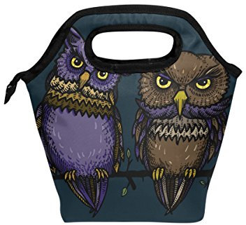 Yibaihe Isolierte Lunchtasche Tragetasche Kühltasche lila und braune Eulen Lunchboxen tragbare Handtasche für Outdoor Picknick Frauen Kinder