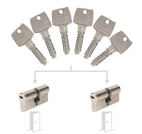 Bricard Pack de 2 cylindres Astral s'entrouvrant: 30+30 & 30+30 avec 6 clés.