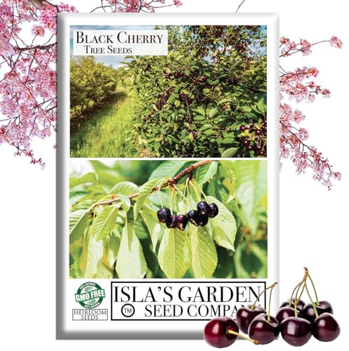Black Cherry Tree Seeds (Prunus serotina, Wild Black Cherry) – 25+ Non-GMO & Heirloom Seeds, Fragrant Blossoms & Edible Fruit, Tall Shade Tree for Landscapes, by Isla’s Garden Seeds, Great Gift Idea
