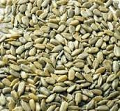 Pipas - Semi di girasole pelate grigliate salate frit Ravich 150 g
