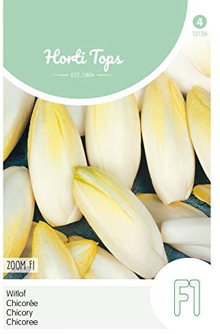 Hortitops 12136 Cicoria Zoom F1 (semi di cicoria)