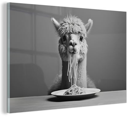 MuchoWow© Glasbilder Deko Schlafzimmer Aesthetic Wohnzimmer Glas Gemälde | 60x40 cm - Foto Geschenk Living Room Decoration Alpaka - Pasta - Schwarzweiß - Lustig - Tiere