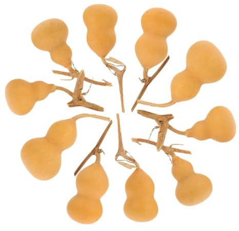 HIAKDOFT Set da 10 Pezzi di Zucche Ornamentali Naturali Mini da 4-6 Cm, Artigianato Decorativo da Tavolo Leggero per Casa, Ufficio e Negozio, Ornamenti Artigianali a Forma di Zucca