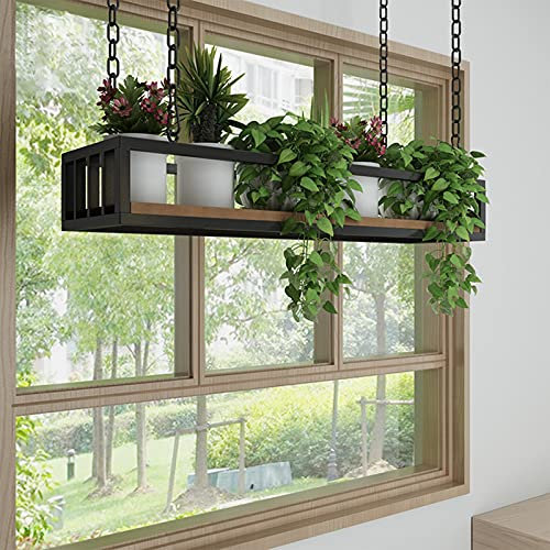 Scaffale per vino da soffitto moderno - stand flower a 1 livelli - Balcone Cucina Pentola Pan Portametro, Decorazioni galleggianti Display casa Ufficio - Legno e ferro da stiro - 60/80/120/140/150 cm