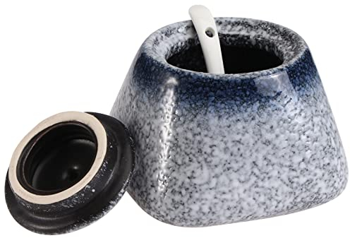 ABOOFAN pots de ferme boîte d'assaisonnement stockage de sel bol de cuisine sucrier bocaux pots à condiments avec couvercles et cuillères ancien distributeur Organisateur épices récipient