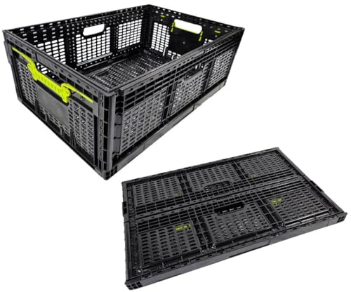 Systafex 1x Faltbare Klappkiste Aufbewahrungskorb Lagerkiste stabile Klappbox belastbar bis 30 kg stapelbar 46L Volumen lebensmittelecht Polypropylen