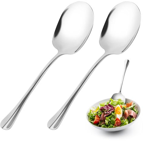 TYSM-CC2 Stück Edelstahl Servierlöffel 25 cm mit Langen Griffen – Rostfreie Vorlegelöffel für Buffet, Salat & Hauptgerichte, Spülmaschinengeeignet, Ideal für Haushalt, Restaurant und Profi-Gastronomie