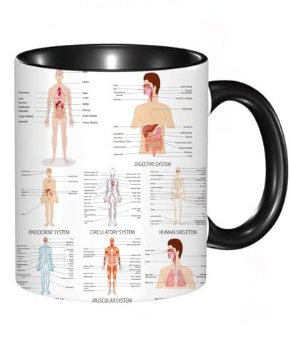 HRRASFAZF Tasse à Café | Tasse Céramique Fine | Cadeau Original | 330ml | Mug avec Anse | Cadeau Original pour Homme et Femme | Anatomie humaine, tableau complet des différentes structures du corps e