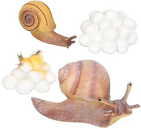 MOLUCKFU Junge Mädchen Tierwachstumszyklus Modelle Montessori Lernspielzeug Mit Realistischen Tiersimulationen Pädagogische Wissenschafts-Requisiten Für Frühkindliche Kognition Geeignet Für