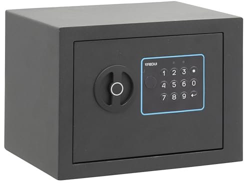 ARREGUI Blue 650100 Caja Fuerte de Acero con Cerradura Electrónica | 17x23x17 cm | 5 L | Caja de Seguridad para Casa y Hogar | Teclado con Códigos Programables | con Llave de Emergencia | grafito