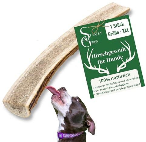 Natürlicher Kausnack für Hunde aus 100% Hirschgeweih Mit Mineralstoffen Kauspielzeug, Zahnpflege, Kaustange, Geweih, Knochen, Hirsch, Kauartikel - Größe XXL halbiert. Für Welpen und Hunde jeden Alters