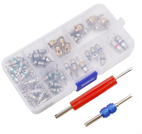 Yhenlovtt R134a et R12 Kit d'outils de démontage de valve de climatisation de voiture avec 100 noyaux de valve pour ports de service 1/4 et 5/16 - Entretien professionnel de climatisation