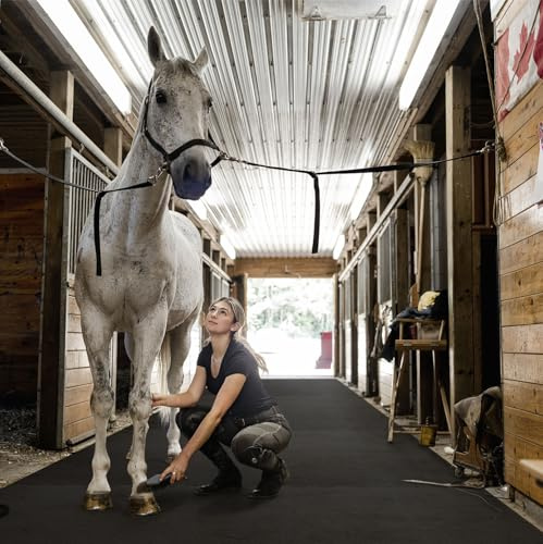Floordirekt Stallmatte aus Gummi - 100 x 150 cm - 3mm Stärke - wasserdichte Gummimatte für Stall, Pferdebox, Paddock - Pferdematten rutschfest & gelenkschonend (GW3006)
