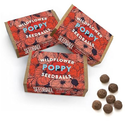 SEEDBALL Wildflower Poppy Seed Ball Boxes (Pack of 3) - 6 Seeds Per Box | Beautiful Red Poppy Flowers | Clay Protected Seed Bomb for Bees, Butterflies, Birds & Other Garden Wildlife