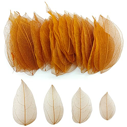 HAOBIN 50 Stück natürliche Skelettblätter, getrocknete Blätter, echte natürliche getrocknete Blätter, gemischt, für die Herstellung von Kunstkarten (braun)