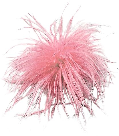 Vintage Feder Brosche - Elegante Straußenfeder Trachten-Brosche für Frauen & Mädchen - Hochzeits- & Party-Schmuck