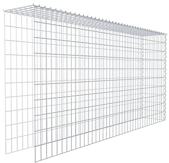 GABIONA Cesta de piedra de gavión rectangular, malla de 5 x 10 cm, profundidad de 30 cm, cesta de cultivo tipo 4, cierre de espiral, galvanizado (200 x 100 x 30 cm)