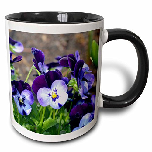 Mugs Humour Drinking Cups 330Ml, A Batch of Purple Pansies Ceramic Mugs with Handle for Tea Office Friend
