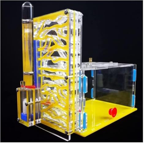 Ameisenfarm für Erwachsene Ameisenburg Aus Acryl, Biologieunterricht, Ameisen, Wissenschaftsbausatz Für Selbermachen, Ameisenfarm, Ameisenlebensraum Beobachten, Ameisennestfarm Ameisen Terrarium(Yello