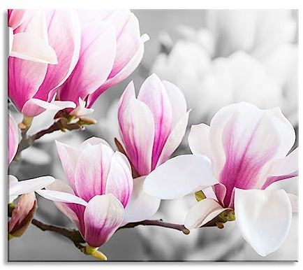 feine rosa farbende Blüte Herdabdeckplatte & Spritzschutz aus Echtglas | Für Herd-Kochfelder | 60x52 cm