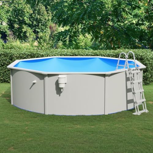 Générique Piscine avec échelle de sécurité 460x120 cm,Maison & Jardin, Piscine & Spa, Piscines, (Poids 132.3KG)