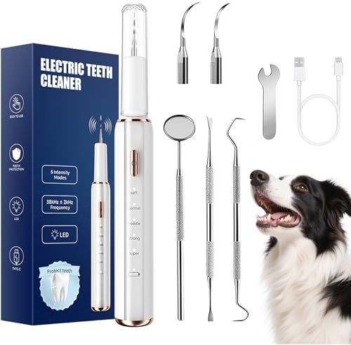 Zahnbelagentferner für Hunde, 7-teiliges Zahnreinigungsset, wiederaufladbarer Ultraschall-Zahnsteinentferner für Zahnstein und Zahnflecken, 5 Reinigungsmodi mit LED-Licht, IPX6 wasserdichtes