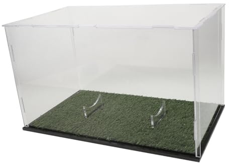 Alipis Rugby Ball Display Case Multipurpose Storage Box Acrylic Holder Green Desktop Stand Stable Base for Collection Supply Tabletop Rugby Container Showcase