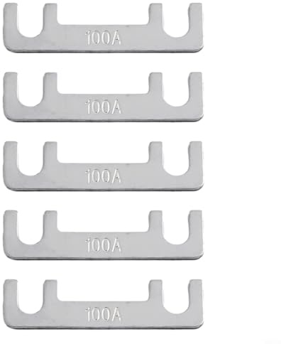 5PCS 32V Fusible de Coche Tipo Plano Set 30A a 100A para Seguridad Electrónica Automotriz (100A)