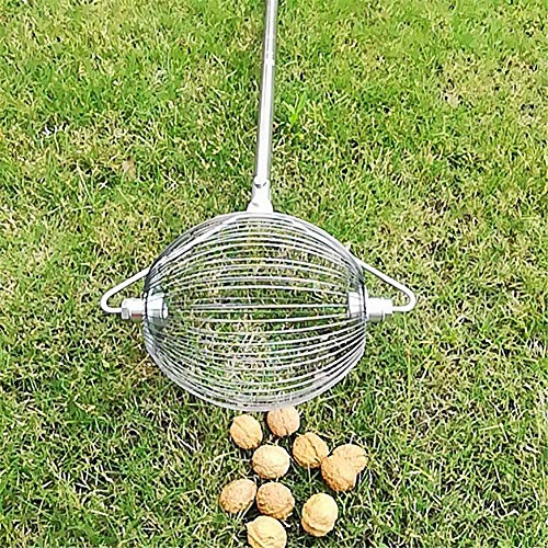 Noix en Acier Inoxydable - Ramasse Les pacanes, Outils cueillette Fruits,cueillette Boules d'outils verger, cueilleur châtaigne Noix, diamètre 3-6 cm