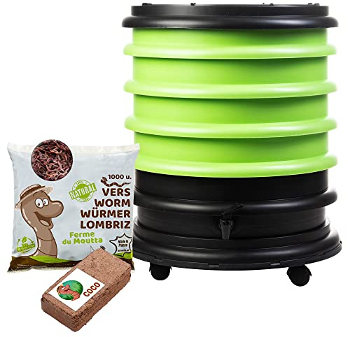 WORMbox | Vermicompostaggio 4 Vassoi Anice Verde + 500g di Vermi Lombrichi / 1000 pz. + 1 Cocco | 64L | Compost di Rifiuti Organici Compostiera Vermifuga Lombricompostiera | Lombrichi = Humus lombrico